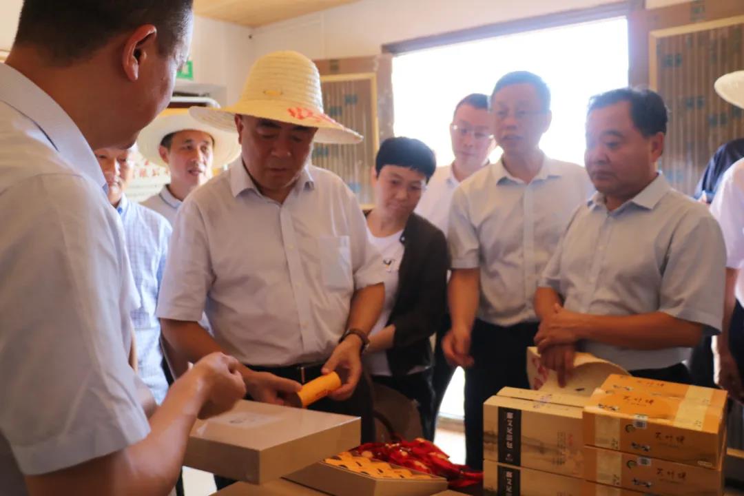 省人大常委会党组副书记、副主任朱虹来“鄱艾生物”产业扶贫指导工作